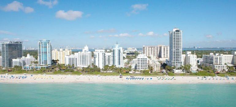 Miami panorama