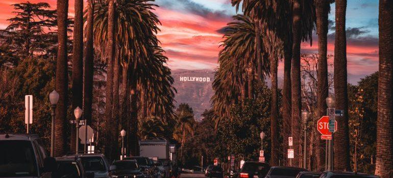 Foreigners enjoy LA