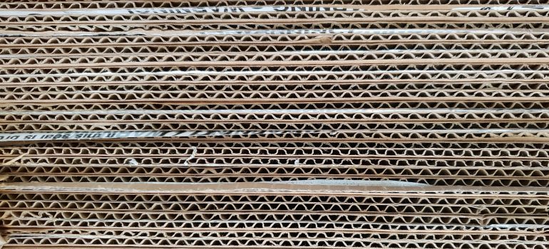 cardboard