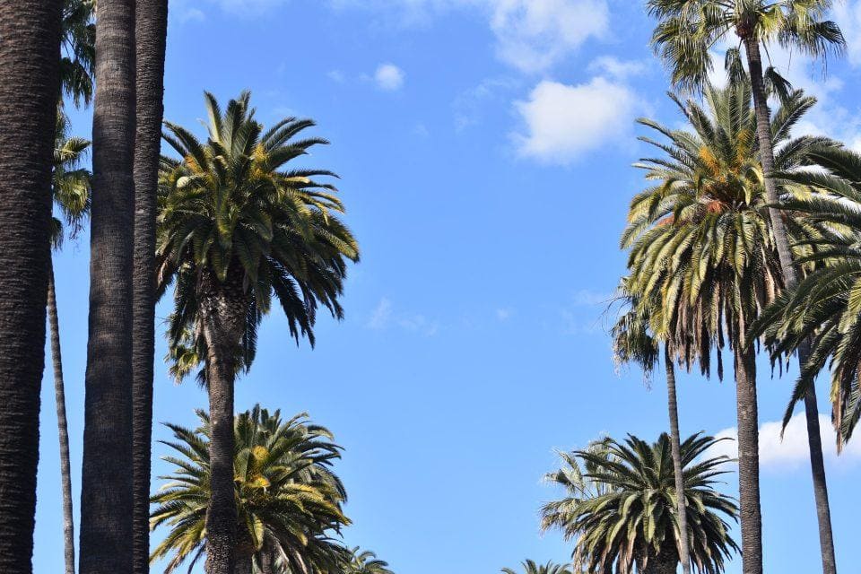 Reasons Why Foreigners Enjoy LA So Much - SOS Moving & Storage