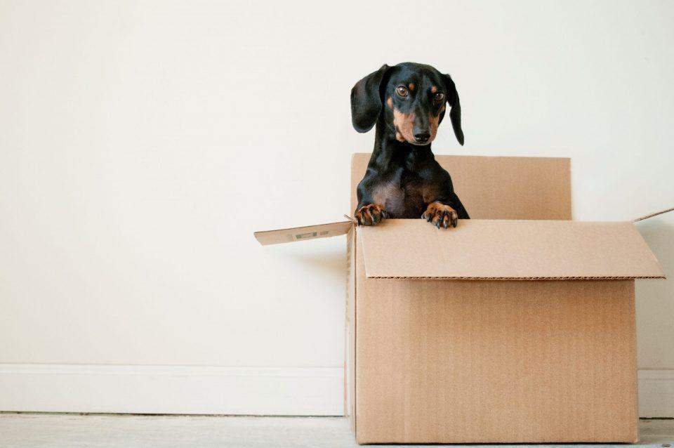 Should You Get Involved in the Moving Process When You Hire Movers in LA? - SOS Moving & Storage