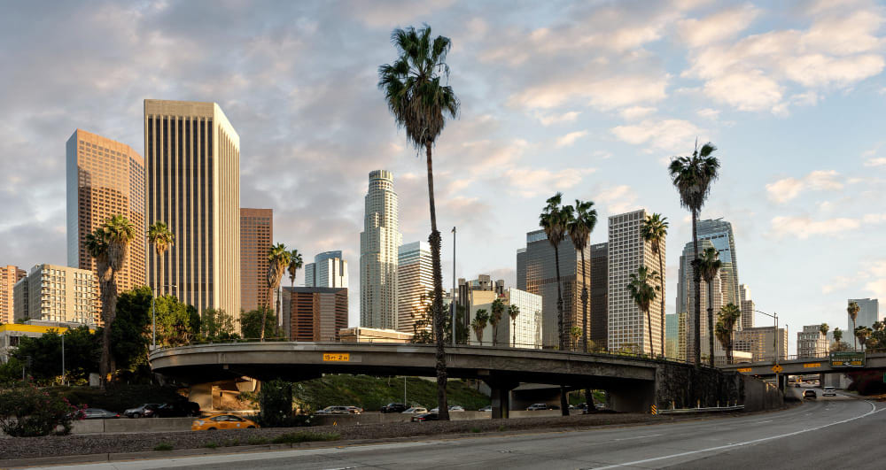 Moving to Los Angeles: The Ultimate Guide for New Angelenos