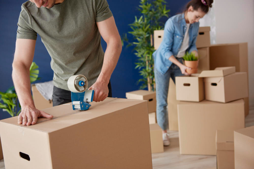 What to Do with Moving Boxes After Moving: 15 Smart Solutions