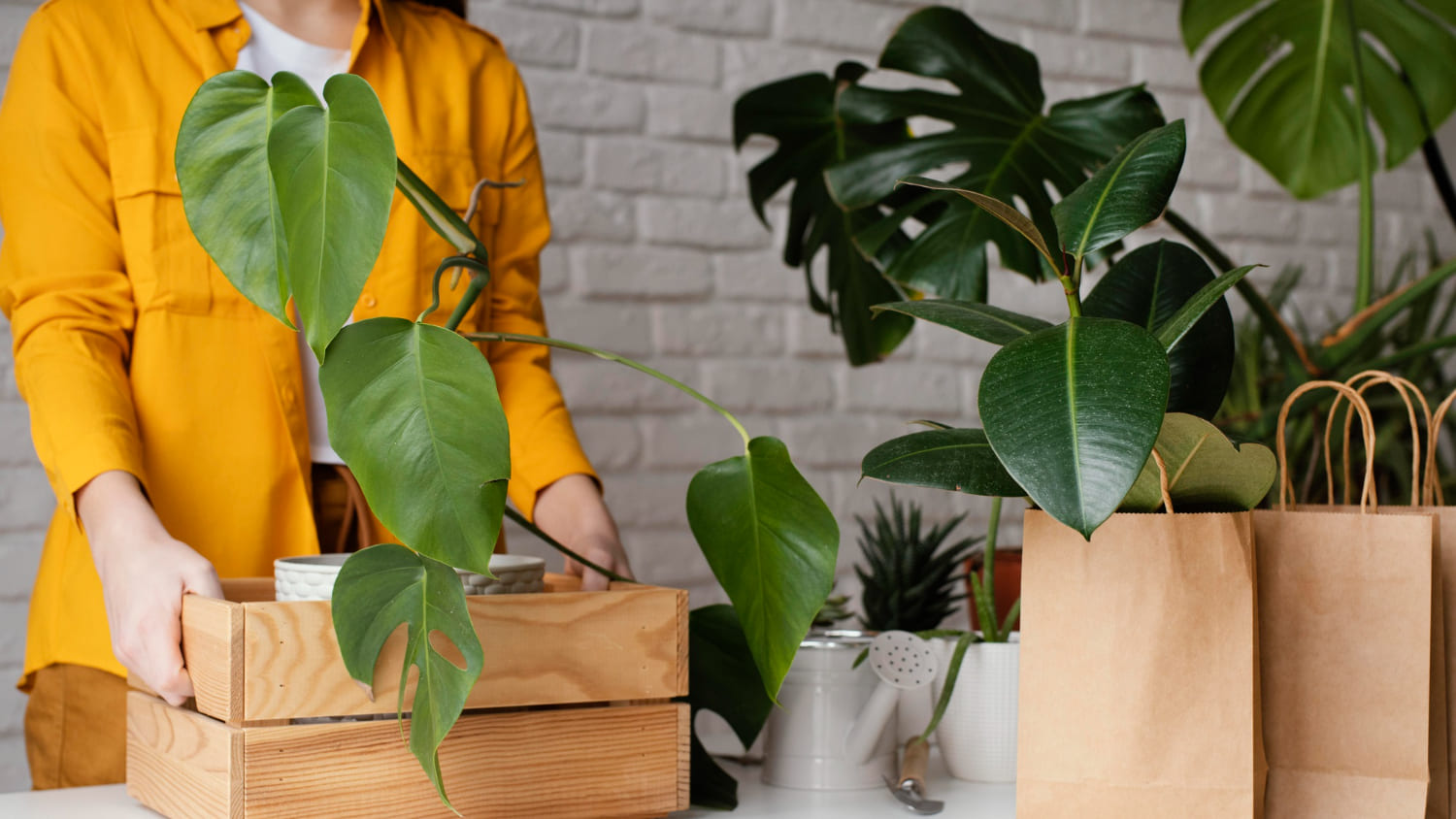 Moving with Plants: Complete Guide for LA Moves