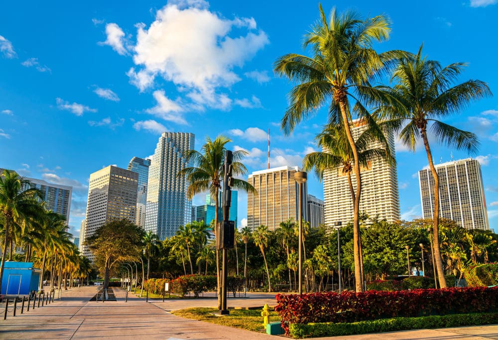 California to Florida Moving Guide: Trading Beaches for Different Beaches