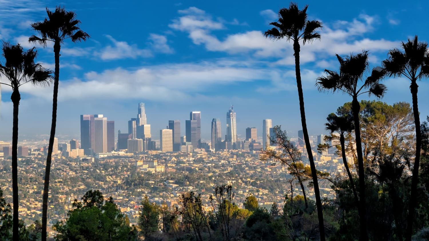 Best Time to Move in Los Angeles